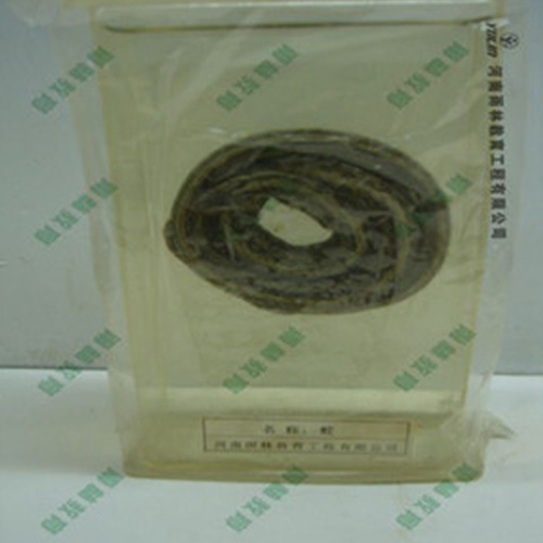 四川蛇浸制标本