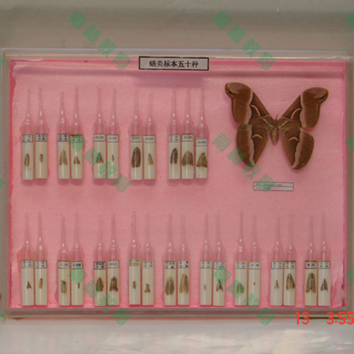 四川常见蛾类100种