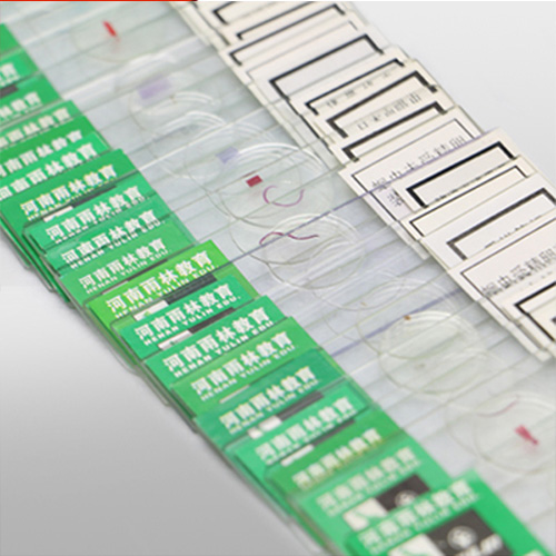 四川中药饮片标本