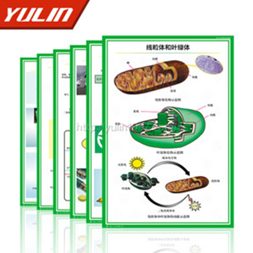 四川病虫害防治挂图