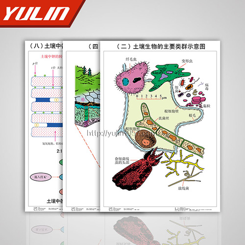 四川土壤肥料挂图