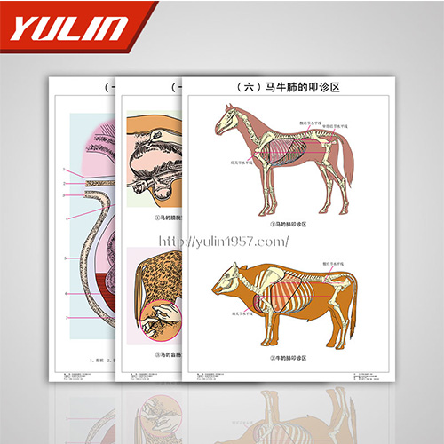 四川职业教育教学挂图